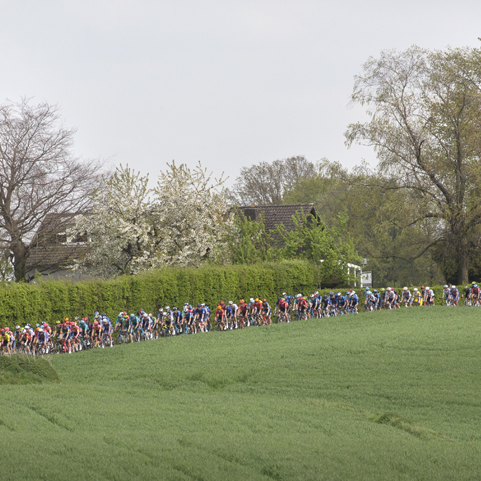 Amstel Gold Race 2024 - The peloton is strung out on Heugdenweg
