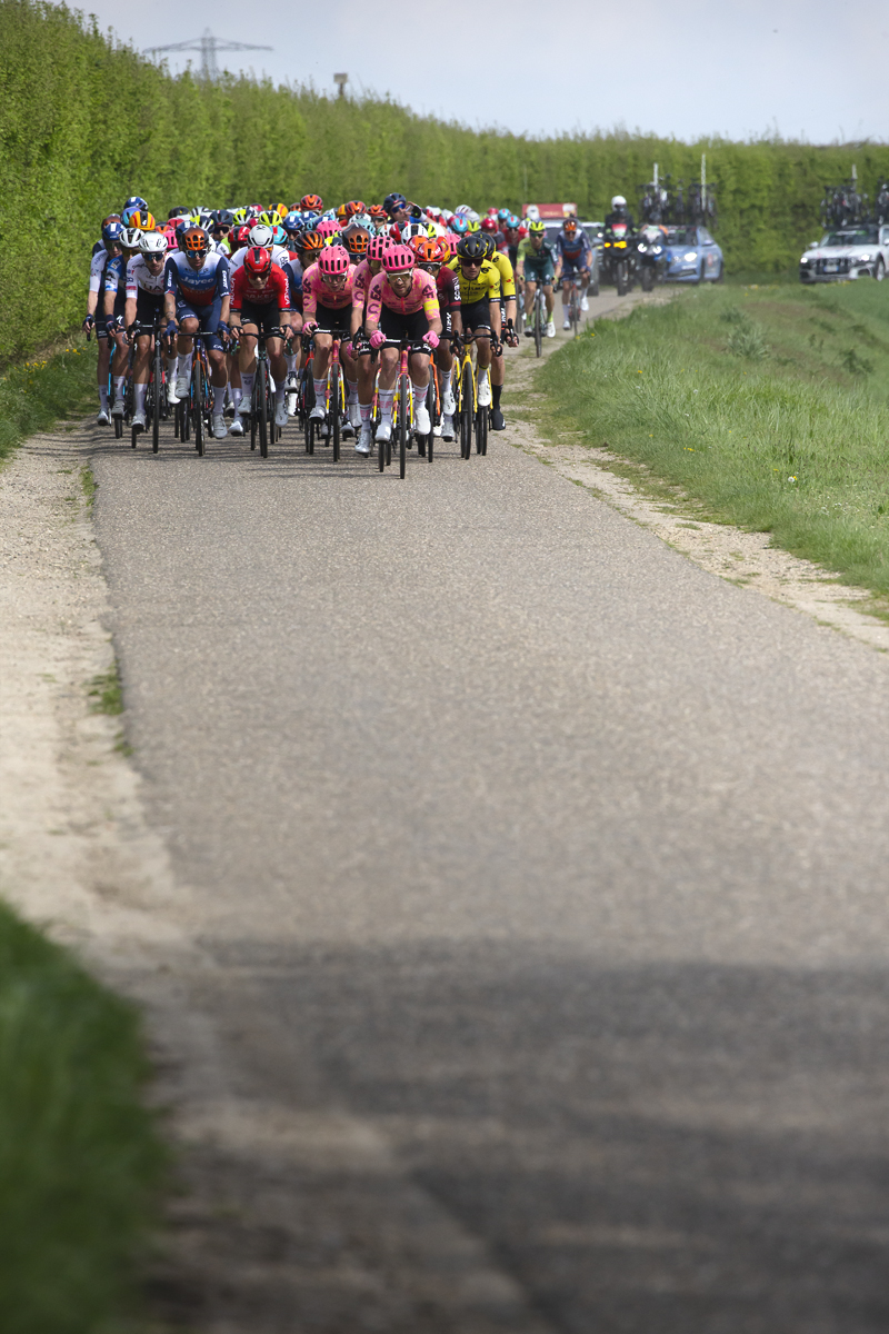 Amstel Gold Race 2024 - The peloton from the front with a large hedge to one side on Heugdenweg