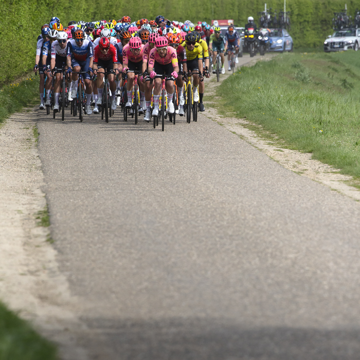 Amstel Gold Race 2024 - The peloton from the front with a large hedge to one side on Heugdenweg