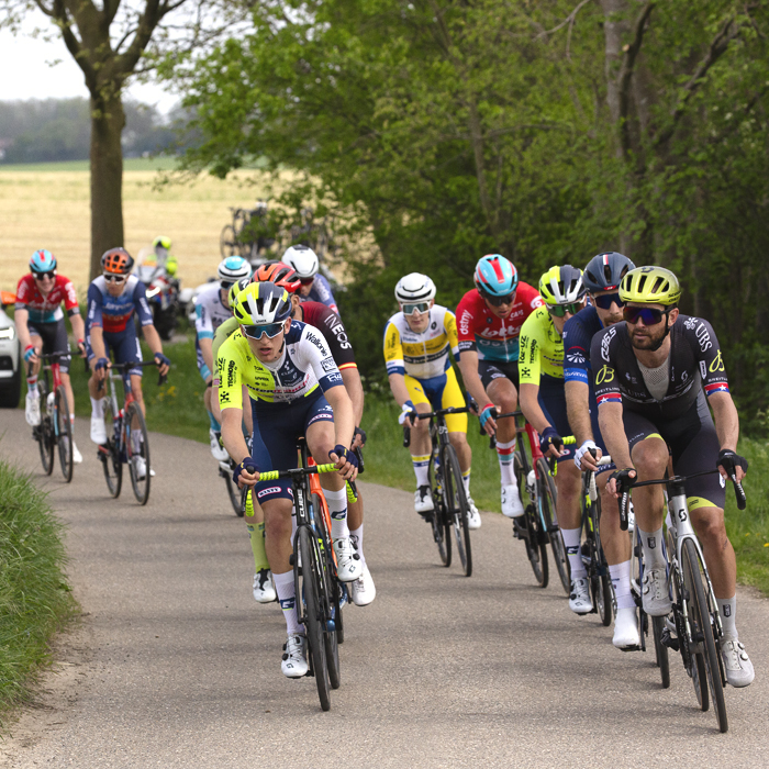 Amstel Gold Race 2024 - Riders on Schaapsdries pass verges with wildflowers