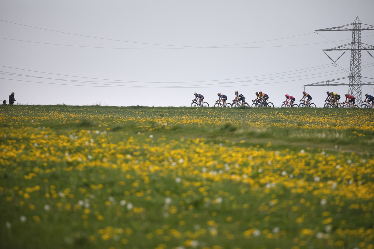 Amstel Gold Race 2025 - Swathes of yellow flowers in the foreground as riders are seen on the ridge of Schaapsdries