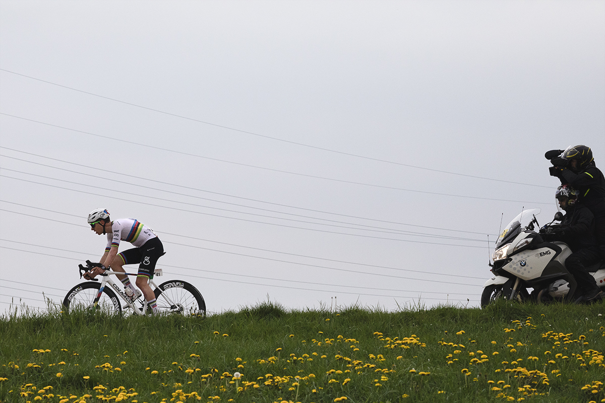 Amstel Gold Race 2025 - Tadej Pogačar solos past fields of yellow flowers with wires behind him on Schaapsdries