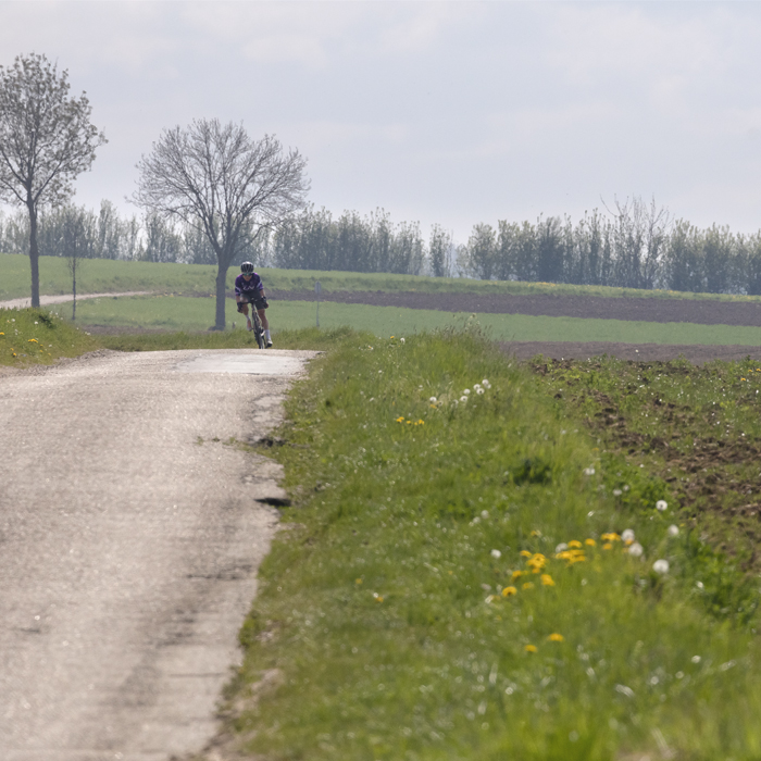 Amstel Gold Race Ladies Edition 2025 - A lone rider makes her way down Scheumerweg