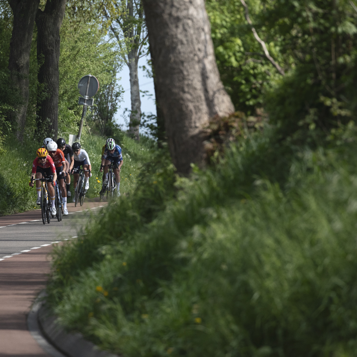 Amstel Gold Race Ladies Edition 2025 - Riders are framed by high roadside banks and trees outside Schoonbron