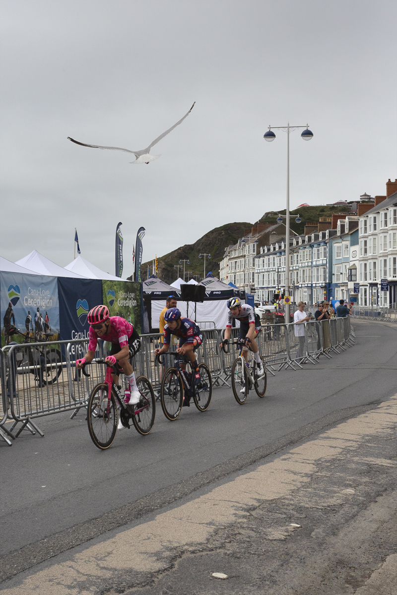 British National Road Championships 2025 - Road Race - Men - a group of riders race along the seafront in Aberystwyth as a seagull swoops overhead