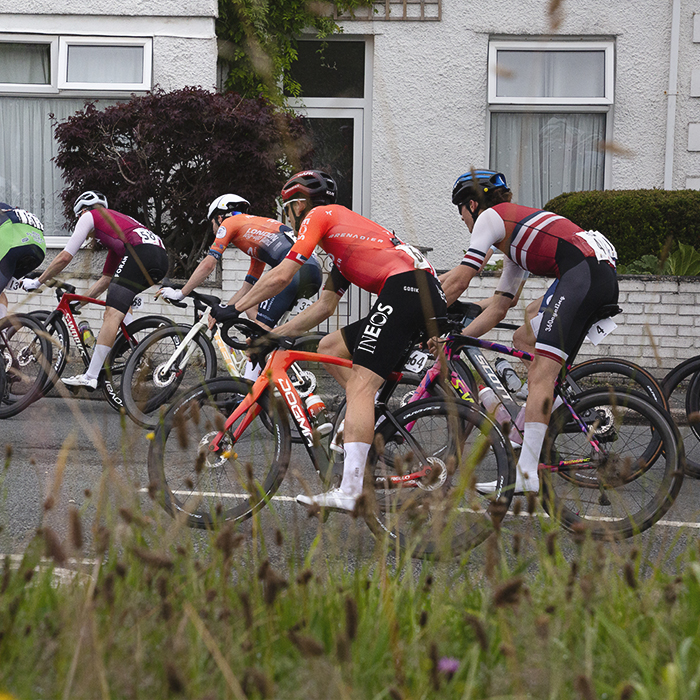 British National Road Championships 2025 - Road Race - Men - the race seen through roadside plants at  Llanfarian