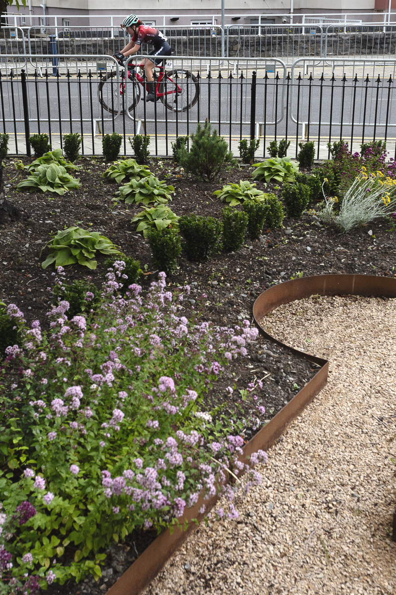 British National Road Championships 2025 - Road Race - Women - Niamh Murphy of Smurfit Westrock Cycling Team rides past ornamental planting