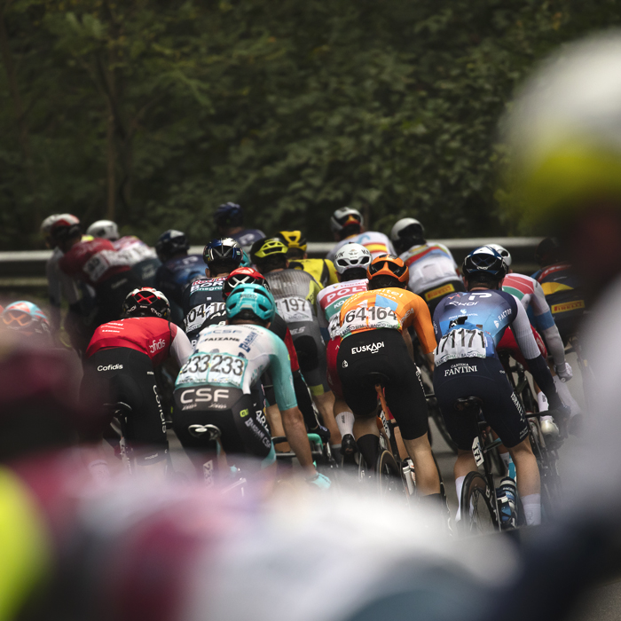 Coppa Bernocchi 2024 - A rear view of the riders in Castelseprio