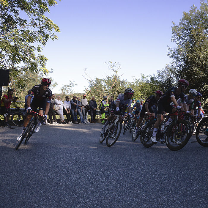 Coppa Bernocchi 2025 - Riders round one of the switchbacks on the Salita Piccolo Stelvio