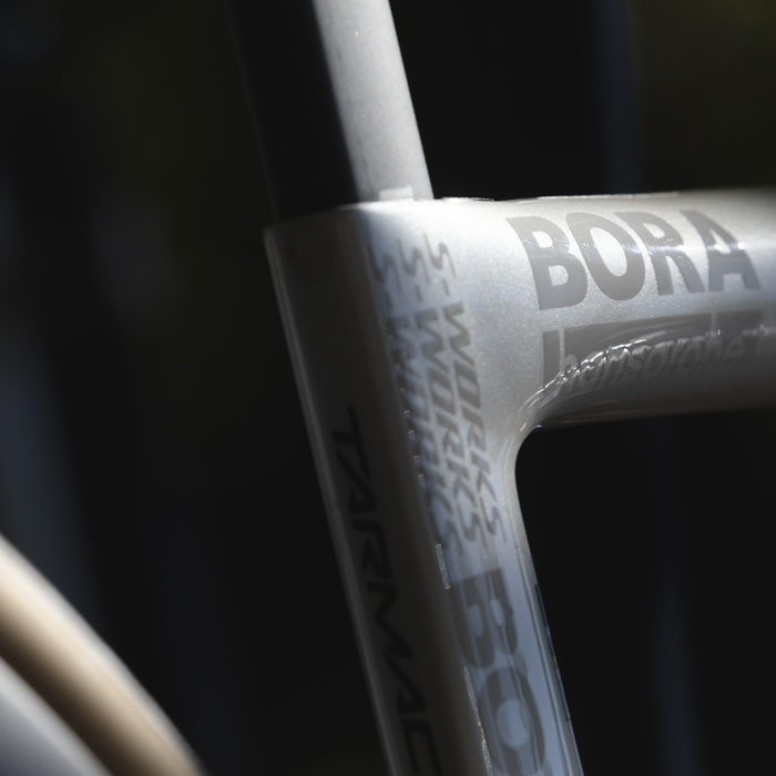 Coppa Bernocchi 2025 - S-Works Tarmac bike frame
