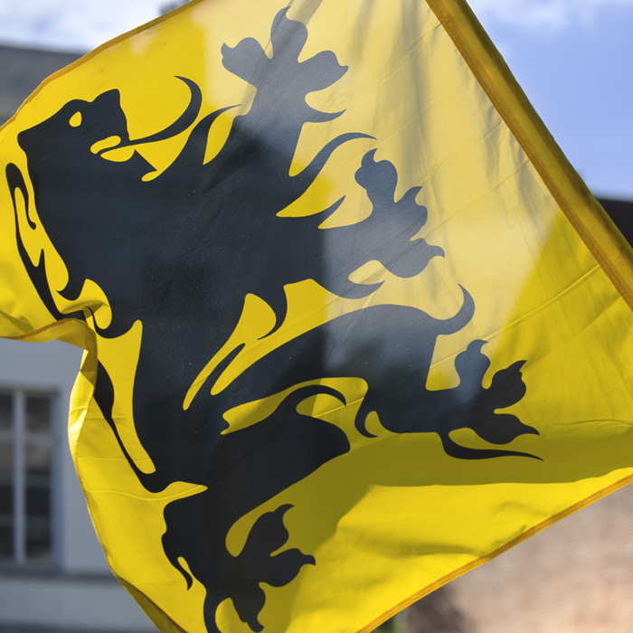 De Brabantse Pijl 2024 - The yellow flag of Flanders with its rampant black lion is held aloft in the light