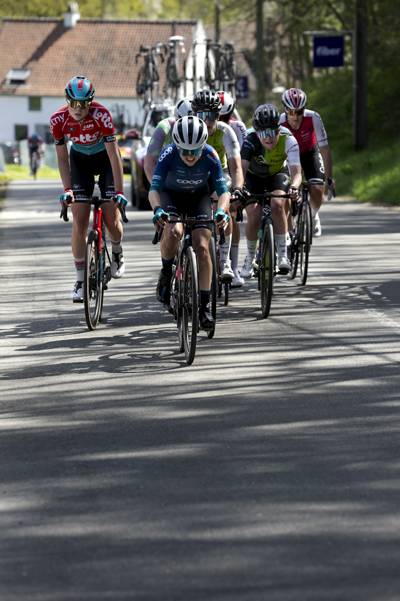 De Brabantse Pijl Vrouwen 2024 - A group of riders climb through shadows cast by the trees on Holstheide