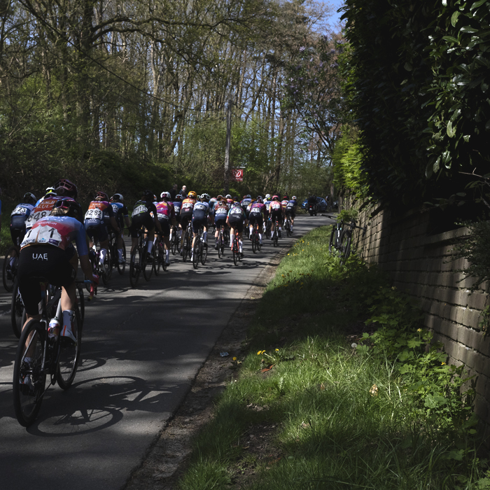De Brabantse Pijl Vrouwen 2024 - Dappled light shines on the peloton on Holstheide