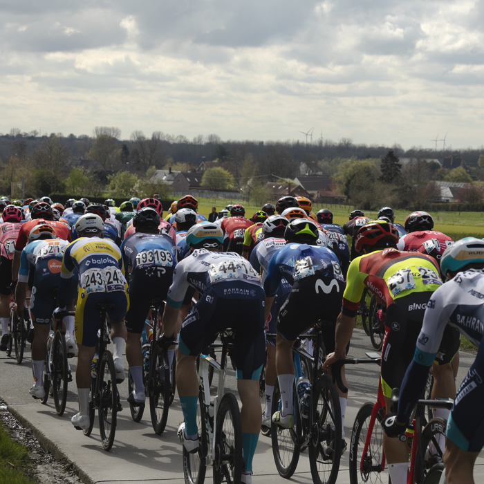 Dwars Door Vlaanderen 2024 - Riders from behind on Chau de Renaix