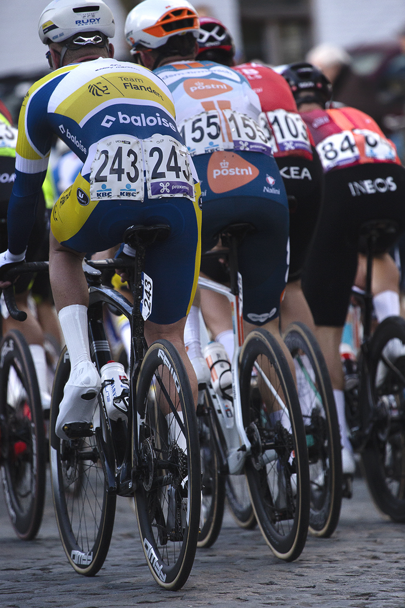 Dwars Door Vlaanderen 2024 - A rear view of the peloton in Nokere