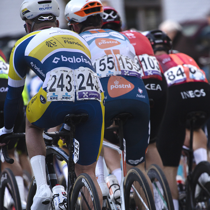 Dwars Door Vlaanderen 2024 - A rear view of the peloton in Nokere