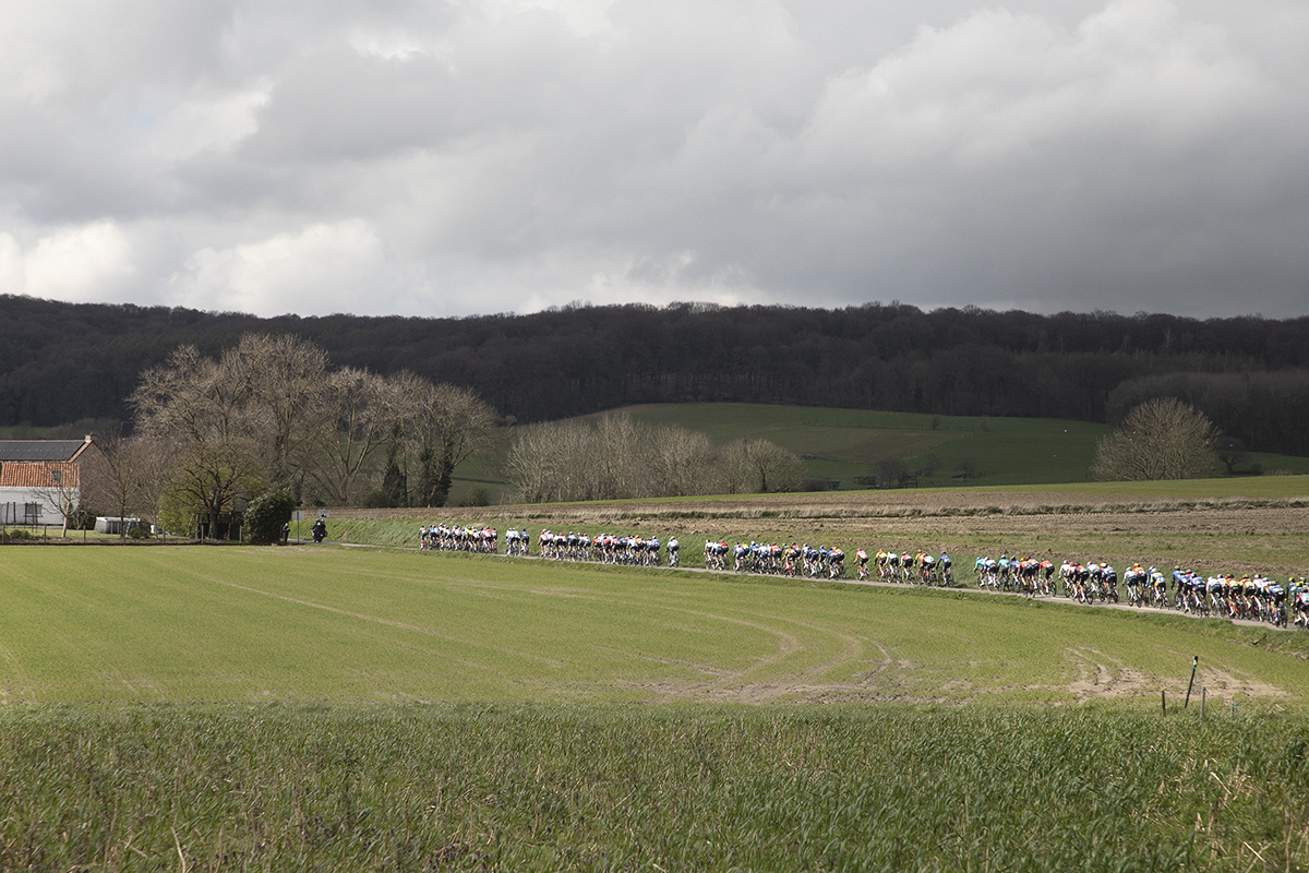 Dwars Door Vlaanderen 2024 - The peloton seen from a distance across open fields as they move along Rue des Chapelles