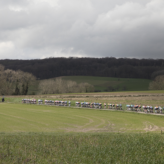 Dwars Door Vlaanderen 2024 - The peloton seen from a distance across open fields as they move along Rue des Chapelles