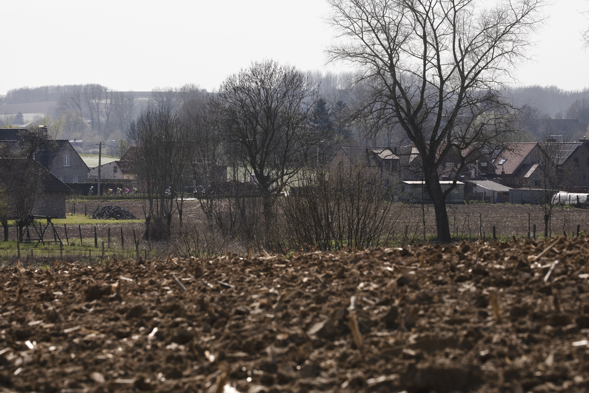 Dwars Door Vlaanderen 2025 - Riders seen on a road in the distance over a ploughed field