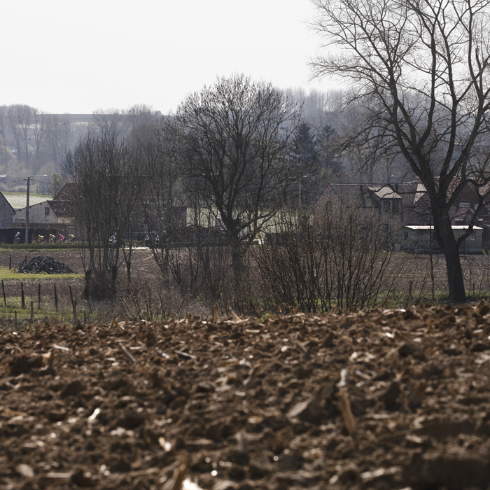 Dwars Door Vlaanderen 2025 - Riders seen on a road in the distance over a ploughed field
