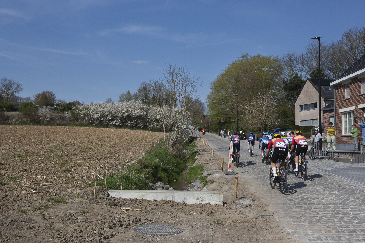Dwars Door Vlaanderen 2025 - The peloton seen from behind on the Eikenberg