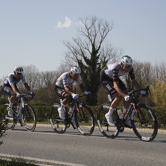 Dwars Door Vlaanderen 2025 - A group of riders races down the road lined with small hedges, a leafless tree in the background
