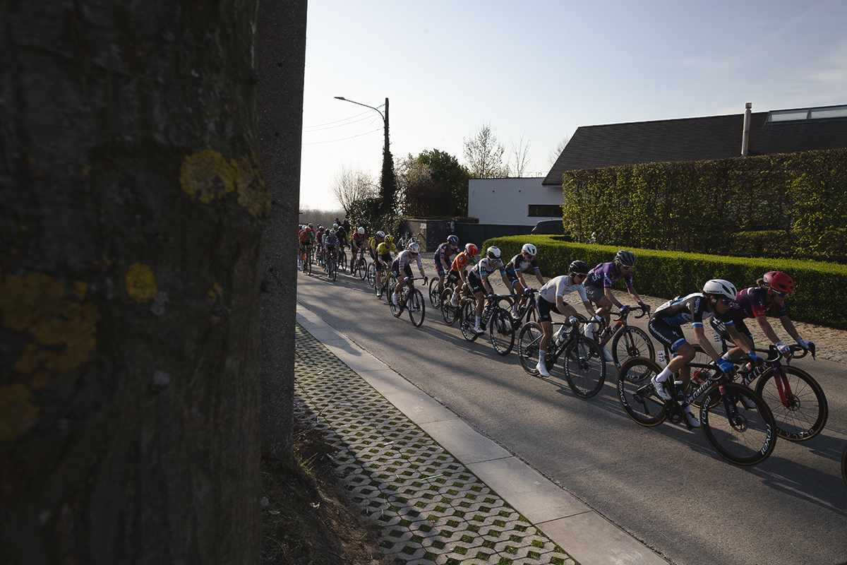 Dwars Door Vlaanderen Vrouwen 2025 - The peloton ride past a modern house on a concrete Belgian road