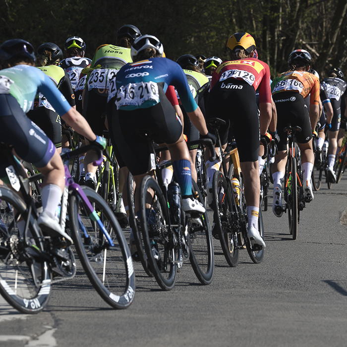Dwars Door Vlaanderen Vrouwen 2025 - The peloton from behind on Ommegangstraat