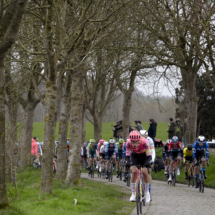 E3 Saxo Classic 2024 - Riders on a tree lined section of Paddestraat