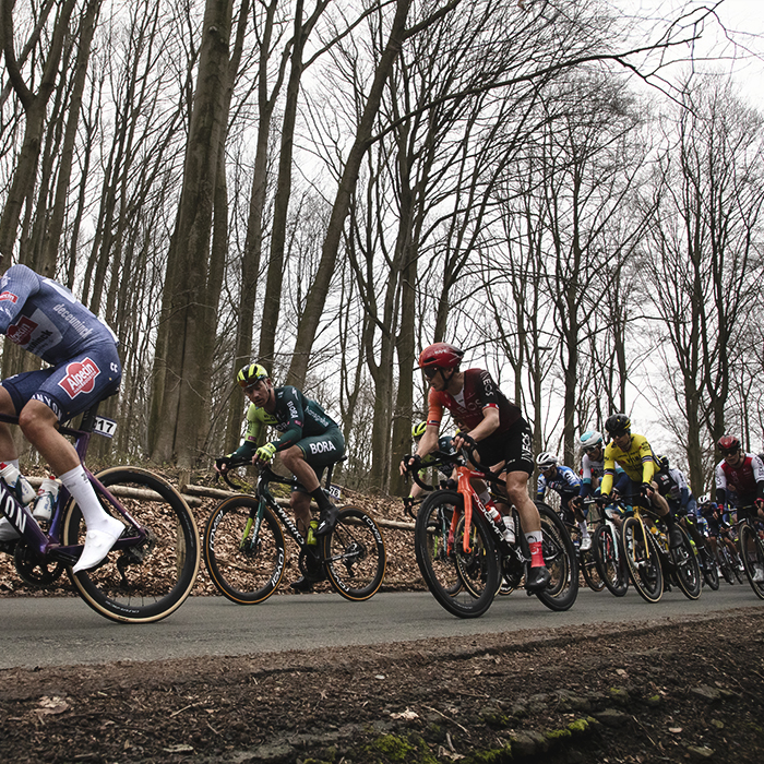 E3 Saxo Classic 2024 - Riders with the leafless trees of Muziekbos in the background as they complete the climb