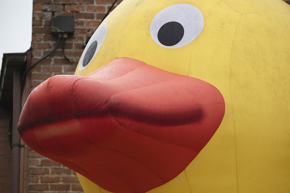 E3 Saxo Classic 2025 - A close up of a giant inflatable duck’s face