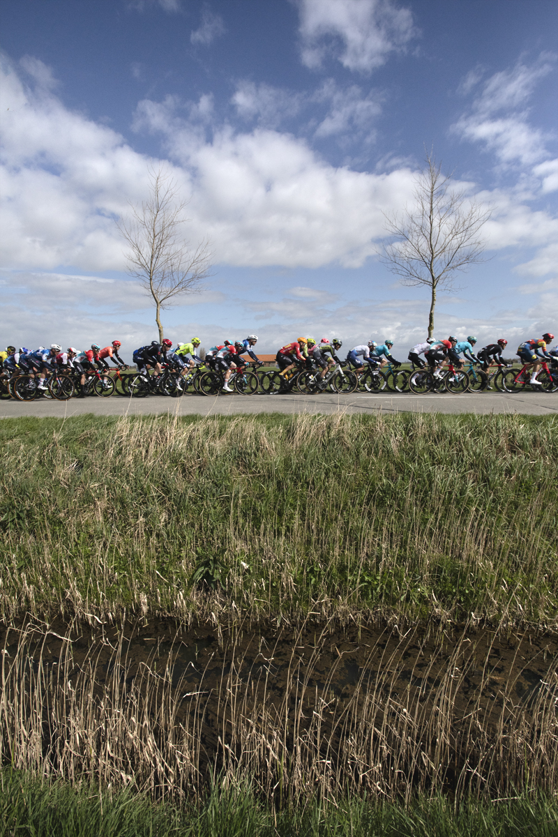 Gent Wevelgem 2024 - Riders pass in front of a reed lined drainage ditch on De Moeren