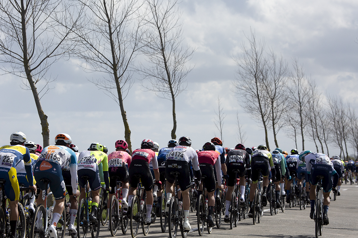Gent Wevelgem 2024 - A rider looks over his shoulder at the race behind as young trees jut into the sky on De Moeren