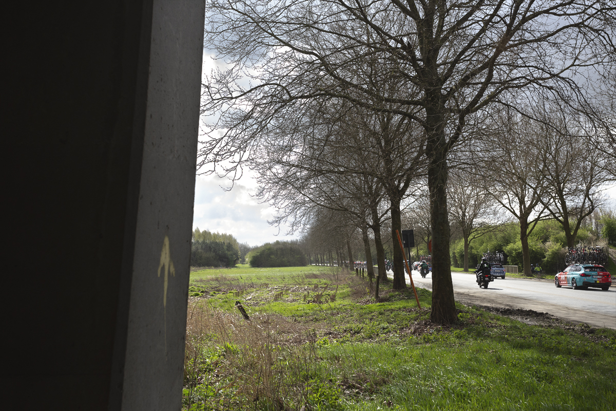 Gent Wevelgem 2024 - The race is seen on a tree lined section of road in Morsele