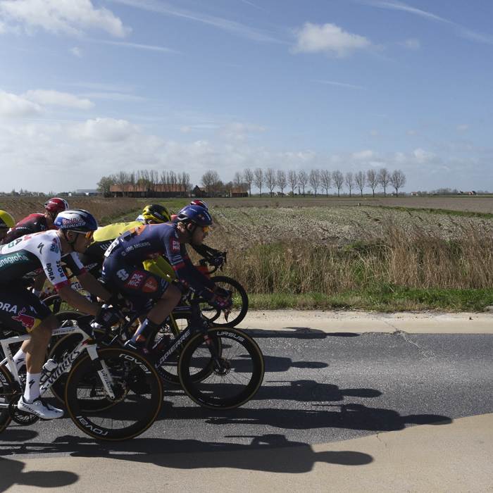 Gent Wevelgem 2025 - A line of riders in the flat countryside near Diksmuide, a farm in the distance picked out by a row of trees