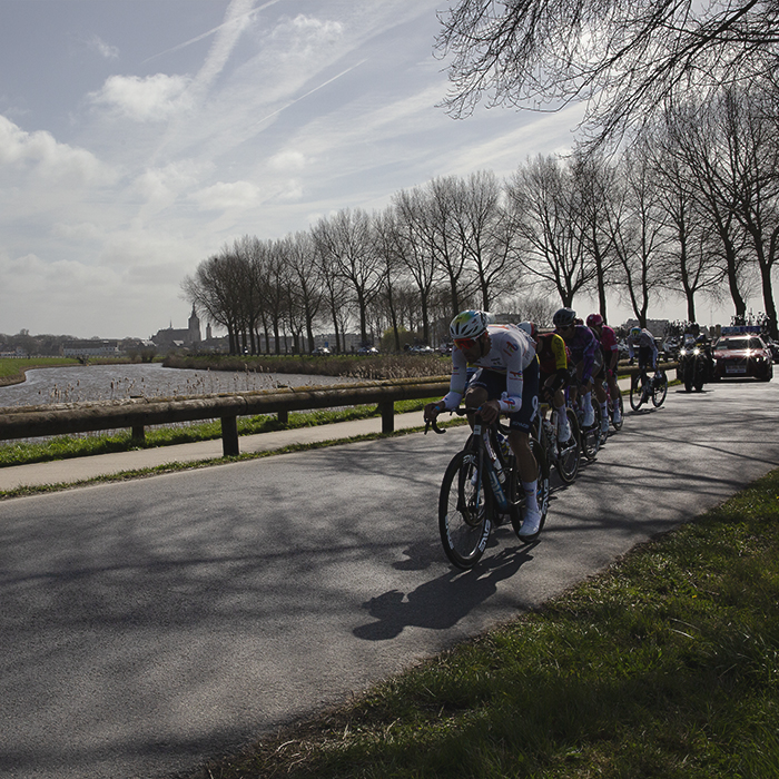 Gent Wevelgem 2025 - A group of riders on the tree lined Ijzerdijk with the river Yser and town of Diksmuide in the background