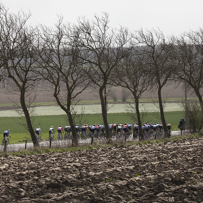 Gent Wevelgem 2025 - The peloton seen between the trees on Armentierssteenweg with the heavy clay of a ploughed field in the foreground