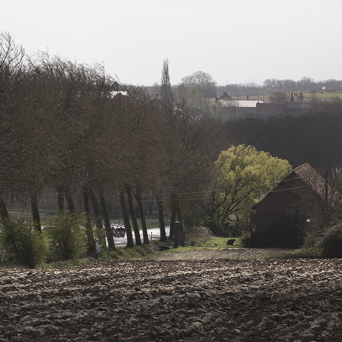 Gent Wevelgem 2025 - Riders seen framed. By trees on Armentierssteenweg as the light catches a brick built farm