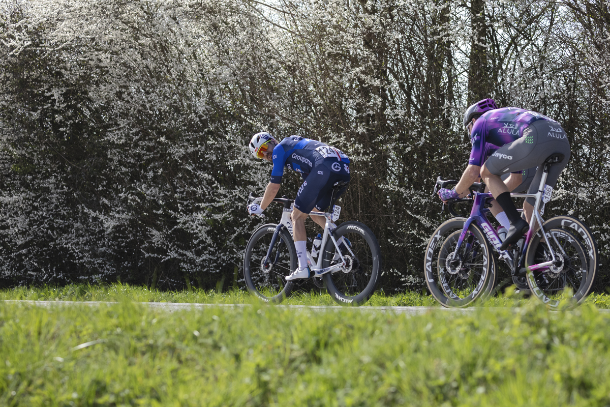 Gent Wevelgem 2025 - Olivier Le Gac looks over his shoulder towards the photographer while he and Max Walscheid cycle along a blossom laden hedgerow