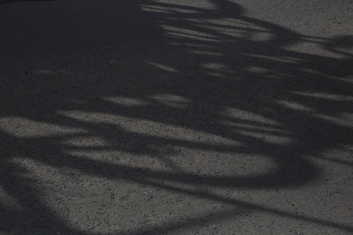 Gent Wevelgem 2025 - Shadows of spare bikes on a race car are cast on the road