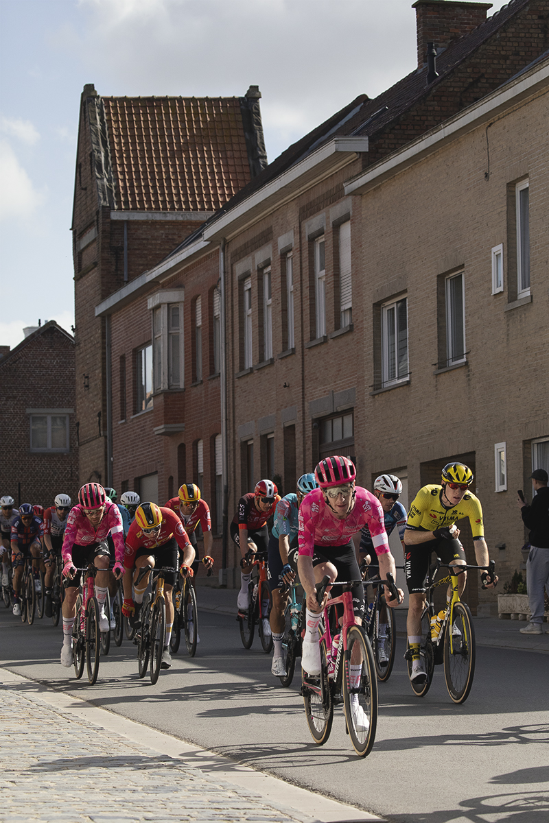 Gent Wevelgem 2025 - The peloton rides down a street lined with brick buildings