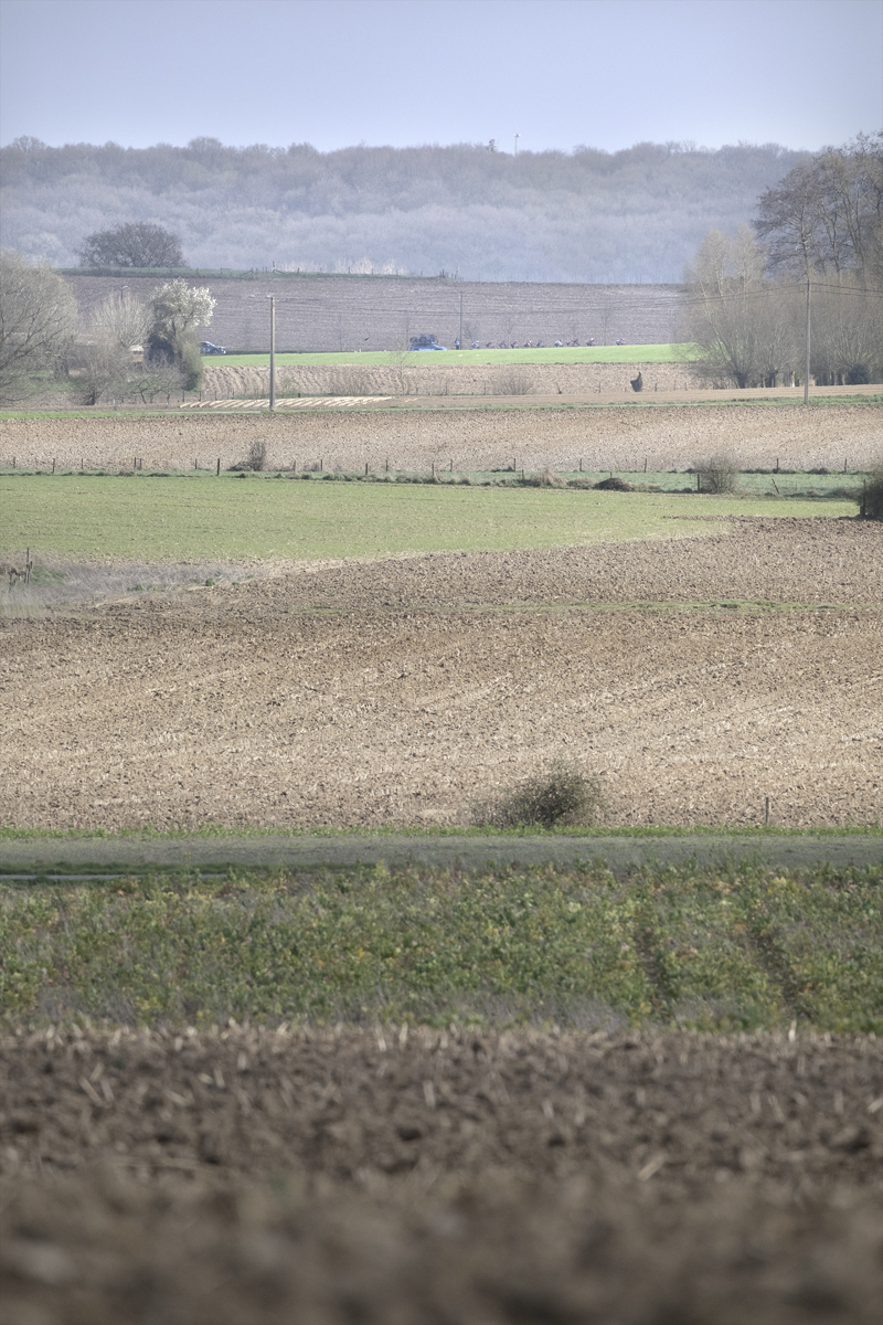 Gent Wevelgem Vrouwen 2025 - The peloton in the distance over the ploughed fields near Loker