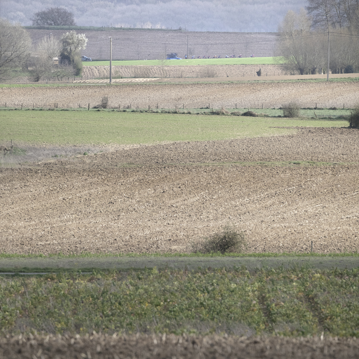 Gent Wevelgem Vrouwen 2025 - The peloton in the distance over the ploughed fields near Loker