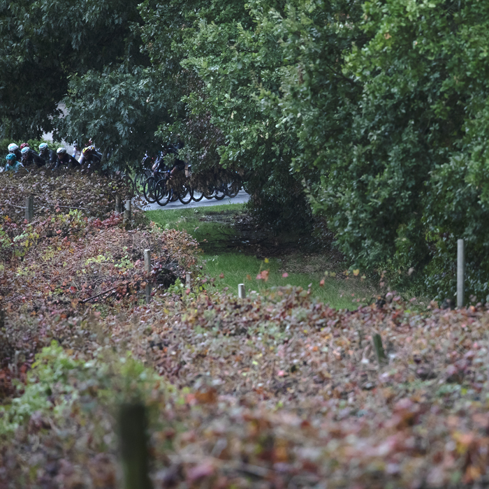 Giro dell’Emilia 2024 -  Riders seen across grape vines holding onto their last grapes in Castelvetro