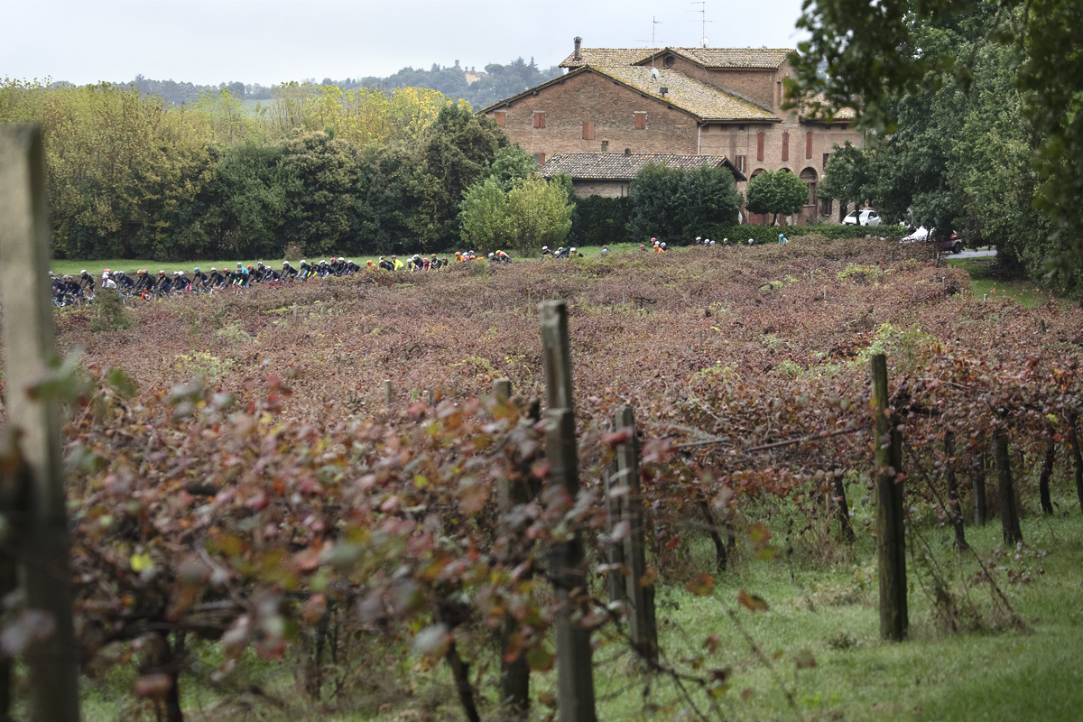 Giro dell’Emilia 2024 - The peloton across the grape vines in Castelvetro