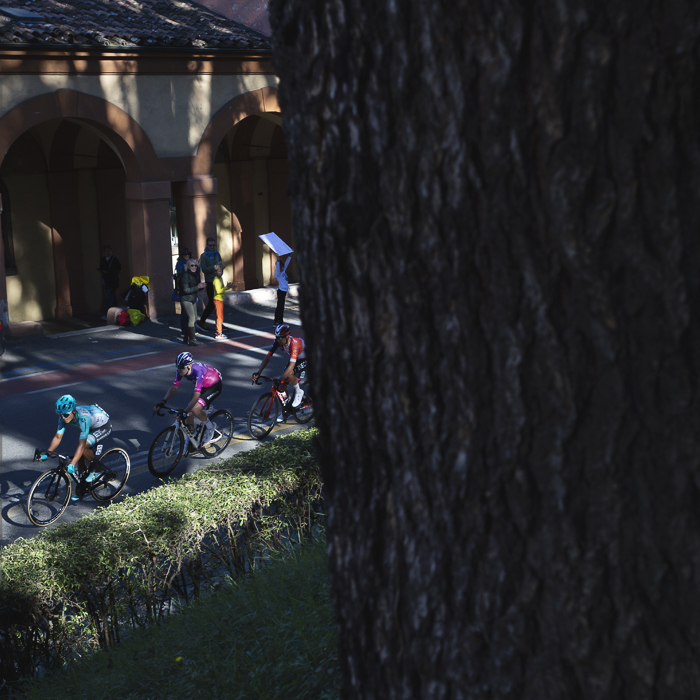 Giro dell’Emilia 2025 - Riders pass one of he porticos in Bologna with a tree framing them in the foreground