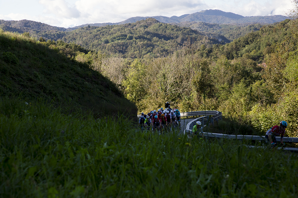 Gran Piemonte 2024 - Riders climb a twist road near Maggiora with sunlit trees in the background