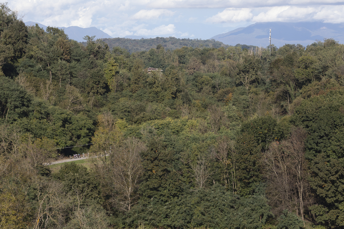Gran Piemonte 2024 - Riders picked out in the distance on the tree lined Piedmont roads