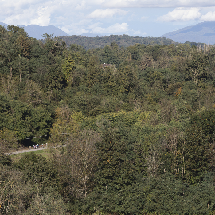 Gran Piemonte 2024 - Riders picked out in the distance on the tree lined Piedmont roads