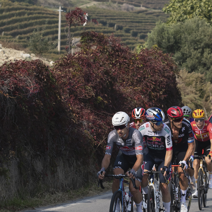 Gran Piemonte 2025 - A group of riders pass through the vineyards near La Morra